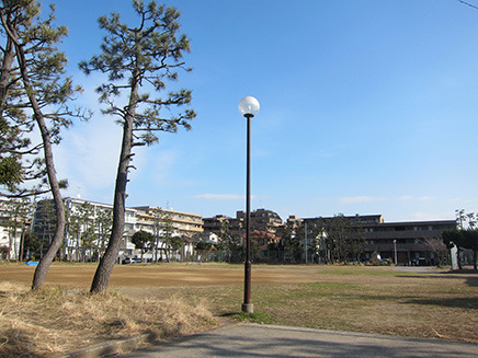 管理棟のある入り口から見渡したグラウンド。