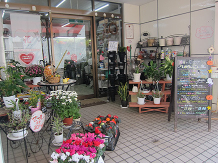 店の外には観葉植物や季節の花の鉢植えなどが並ぶ。