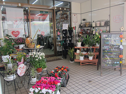 Florist花クラブ 八幡 菅野エリア いちかわエリア情報 市川市の不動産なら慶和住宅 新築戸建て 中古戸建 土地 不動産売却 総武線市川駅３分