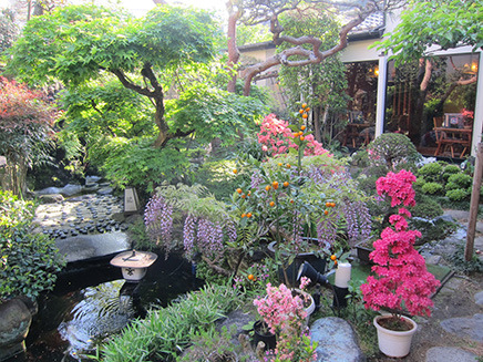 灯籠や池のある日本庭園はいつ来ても、日本の四季を感じることができる。