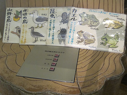 「鳴き声クイズ」コーナー。
山野の鳥、水辺の鳥、昆虫、カエル、それぞれの鳴き声、わかるかな?