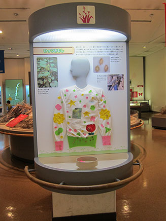 「都市化した市川の自然」のコーナー。
帰化植物のパネル展示のひとつ。
“ひっつきむし”って何だろう?