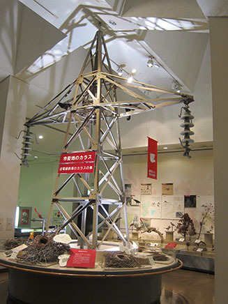 都会のカラスの巣作りの様子を展示。