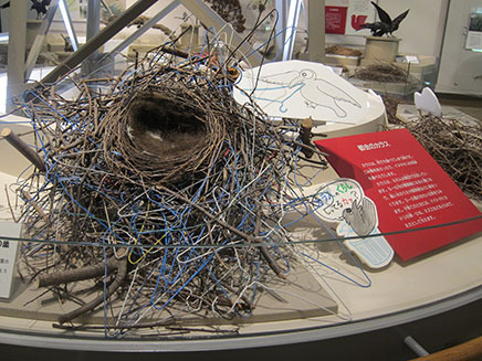 針金でできたハンガーを集めて巣の周りを強化?5~6月が繁殖期。