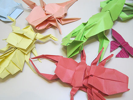 折り紙で本物に近い昆虫の折り方を解説するコーナー。
カブトムシやクワガタ、カマキリも!
足の数や長さなど、特長を捉えた昆虫の折り紙がたくさん!