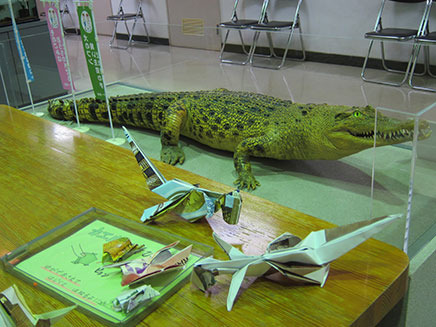 「国際コーナー」にはワニの標本が展示されています。
その理由は実際に来館して確かめてみよう。