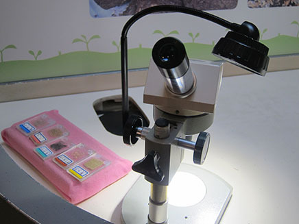 顕微鏡を使って“土”の違いを観察。