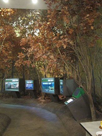 雑木林にすむ“アカネズミ”の一生を再現したコーナー。はく製とともにリアルに解説。