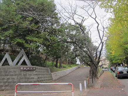 「須和田公園」入口。公園前の歩道にある銀杏の木が色づきはじめている。