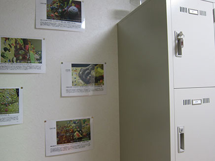 ロッカールームがあり、壁にはグリーンアロー独自のクライミングウォールの写真が並ぶ。