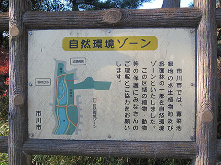 公園の一部は“自然環境ゾーン”に指定されている。
