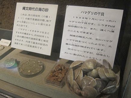 縄文時代の「海の砂」や縄文時代の人々が
ハマグリを干して珍味な保存食として食べていたことを検証して
1998年に作った「干貝」の展示。
