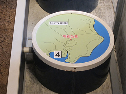 約2万年前、東京湾は陸地で市川は内陸の高原だった。