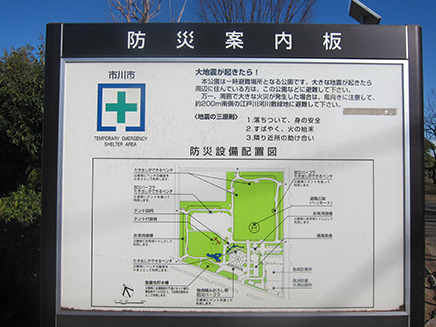 大洲防災公園 市川 真間エリア いちかわエリア情報 市川市の不動産なら慶和住宅 新築戸建て 中古戸建 土地 不動産売却 総武線市川駅３分