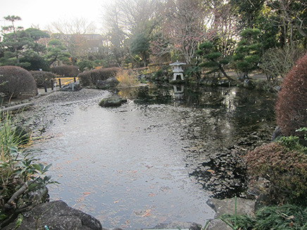 庭園の中央には大きな池があり、たくさんの鯉が泳いでいる。
また、池の畔には水生植物が植えられている。