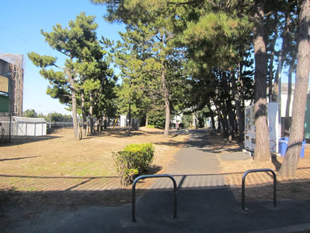 公園の看板は見当たらないが、ここから先が「塩浜第2公園」。
