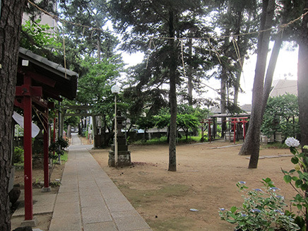 拝殿から鳥居の方向を写した境内。
拝殿を背に右側に出雲社・美保社、稲荷大明神、天満天神宮の
三つのお社が祭られている。