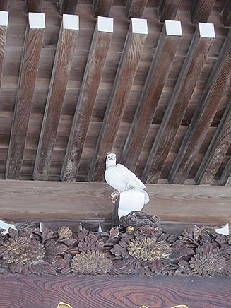 中央には「白い鷹」の姿が……
寺社の境内では鳩を見かけることが多いが、
鳩除けのため敢えて“鷹”にしたのだとか。
その効力があってか妙行寺には鳩の姿はない。