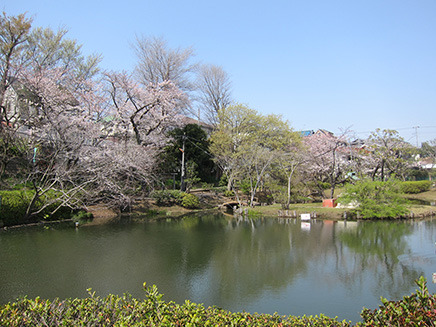 公園の奥にある池が「弁天池」。