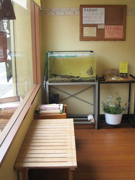 店内には淡水魚が泳ぐ水槽がある。