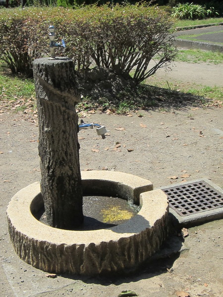 遊具広場側にある水飲み場。