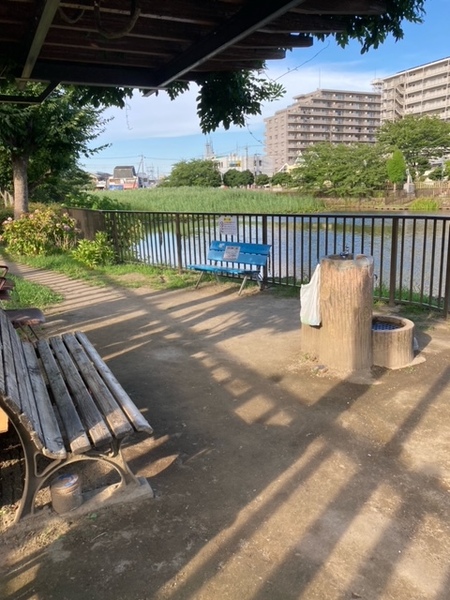 公園の随所にベンチがある。