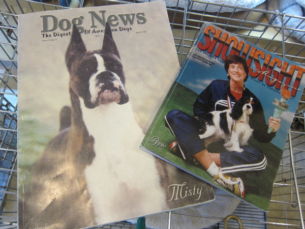 吉橋さんが編集を手掛ける雑誌「Dog News」と「SHOWSIGHT」。