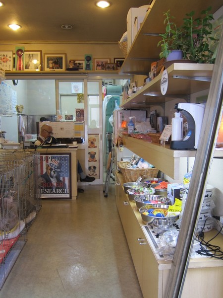 店内右側の棚には「犬用のおもちゃ」や「ドッグフード」などが並ぶ。