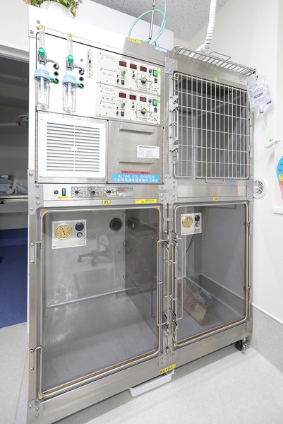 奥にあるのが、動物用のICUユニット「小動物高濃度酸素集中治療室」。呼吸が苦しくなったり、ぐったりしたりしている子もここなら安心。