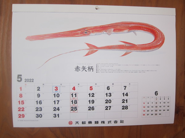 旬の魚が分かる水産物卸売業者のカレンダーも。５月は細長い魚の“赤矢柄(アカヤガラ)”。