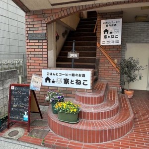 ごはんとコーヒーと時々、お酒　家とねこ写真