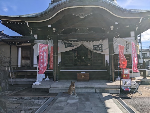 年2度行う年中行事・「お施餓鬼」(8月24日)と「御会式」(11月24日)時の本堂外観。