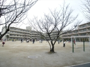 行徳小学校