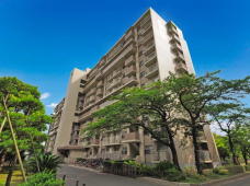 市川グリーンハイツＤ棟