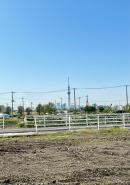 現地写真
現況更地です！天気が良い日はスカイツリーが見れます！
