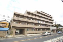 総戸数44戸、南東向きと南向きに住戸を配置！