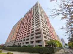 市川市市川南３丁目