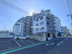 葛飾区青戸８丁目