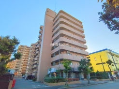 船橋市習志野５丁目