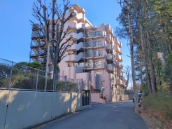 松戸市常盤平３丁目