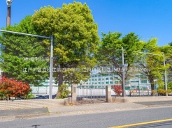 江戸川区松江２丁目