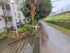 船橋市西船２丁目