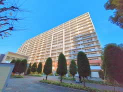 葛飾区南水元３丁目