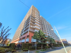 葛飾区南水元３丁目