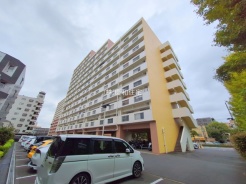 江戸川区中葛西５丁目