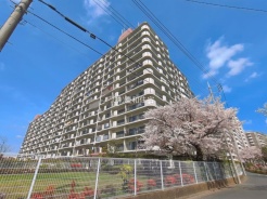 江戸川区南篠崎町５丁目