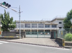 松戸市八ケ崎緑町