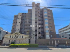 市川市新浜１丁目