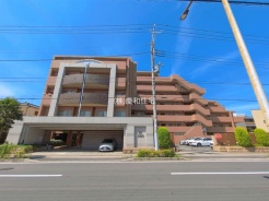 市川市福栄３丁目