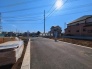 11号地  2026/03/12m